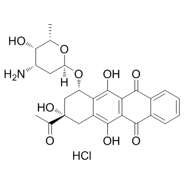 Idarubicin hydrochloride(4-Demethoxydaunorubicin hydrochloride)ͼƬ