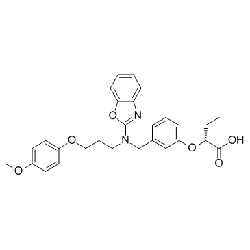 Pemafibrate((R)-K-13675)ͼƬ