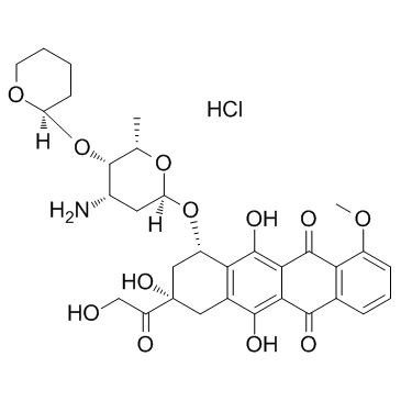 Pirarubicin Hydrochloride(THP Hydrochloride)ͼƬ