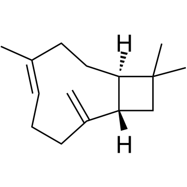 -Caryophyllene((C)-trans-Caryophyllene(C)--caryophyllene(-)-(E)-Caryophyllene)ͼƬ