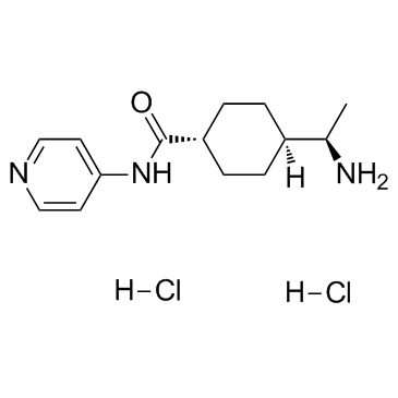 Y-27632 dihydrochloride图片