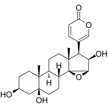 Desacetylcinobufotalin(Deacetylcinobufotalin)ͼƬ