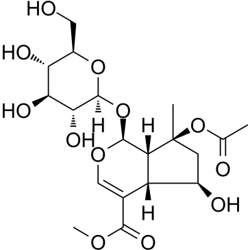 8-O-Acetyl shanzhiside methyl esterͼƬ