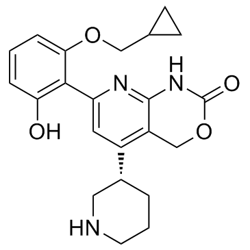 Bay 65-1942 free baseͼƬ