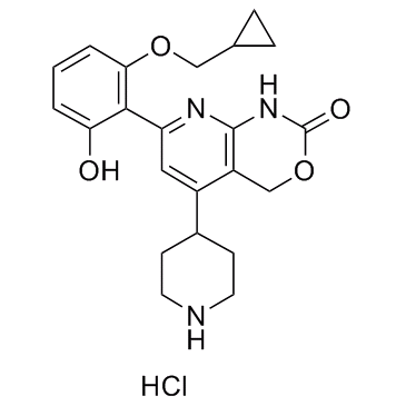 IKK inhibitor 1ͼƬ