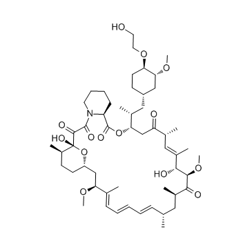 Everolimus(RAD001 SDZ-RAD)ͼƬ