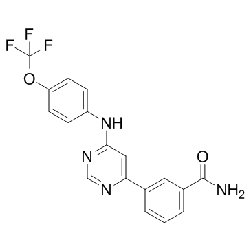 GNF-2图片