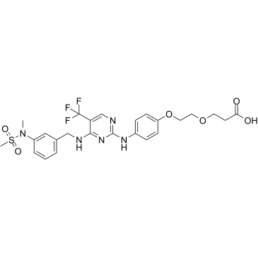 FAK ligand-Linker Conjugate 1ͼƬ