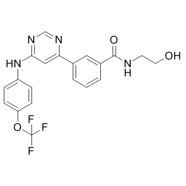 GNF-5ͼƬ