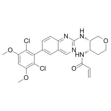 Fisogatinib(BLU-554)图片