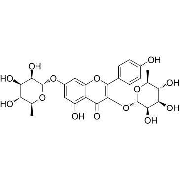 Kaempferitrin(LespedinLespenephryl)ͼƬ