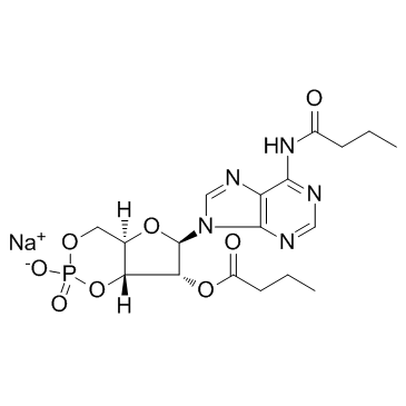 Bucladesine sodium salt(Dibutyryl-cAMP sodium salt DC2797 Sodium dibutyryl cAMP)图片