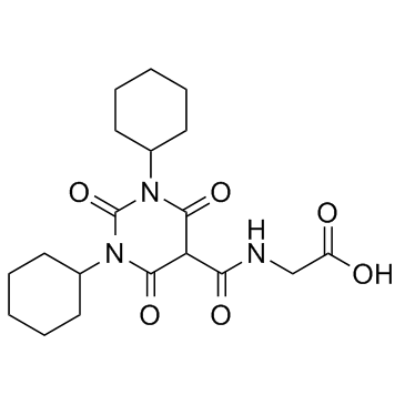 Daprodustat(GSK1278863)ͼƬ