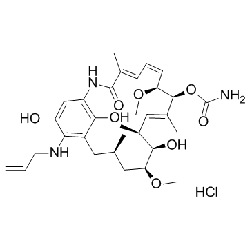 Retaspimycin Hydrochloride(IPI-504)ͼƬ