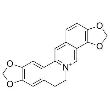 Coptisine(Coptisin)ͼƬ