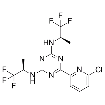 Vorasidenib(AG-881)图片