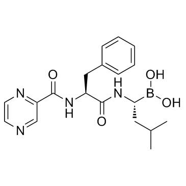 Bortezomib(PS-341 LDP-341 NSC 681239)ͼƬ