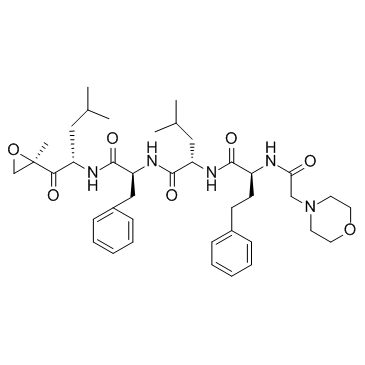 Carfilzomib(PR-171)ͼƬ