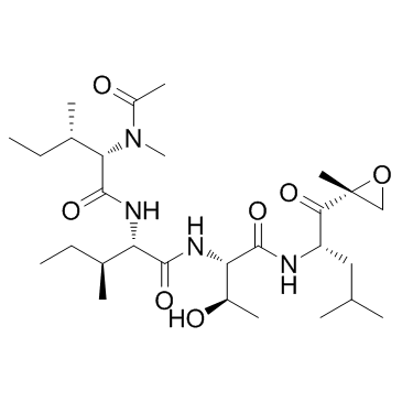 Epoxomicin(BU-4061T)ͼƬ