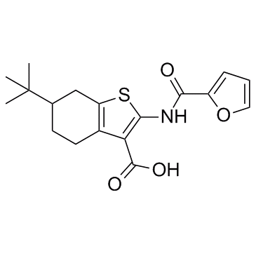 CaCCinh-A01图片