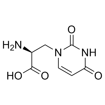 (S)-Willardiine((-)-Willardiine)ͼƬ