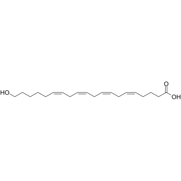 20-HETE(20-hydroxy arachidonic acid)ͼƬ