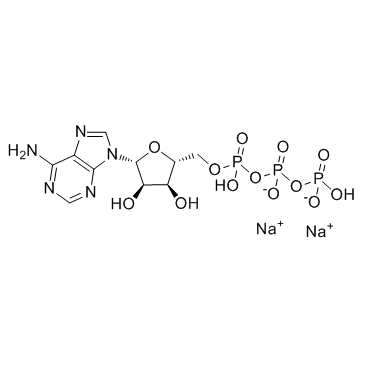 ATP disodium salt(Disodium adenosine triphosphate)ͼƬ