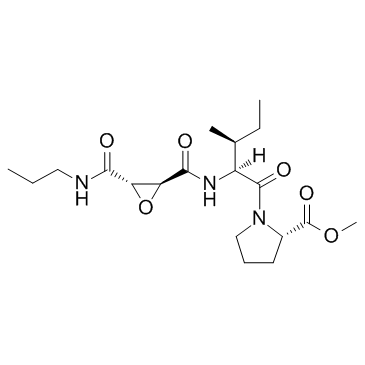 CA-074 methyl ester(CA-074Me)ͼƬ