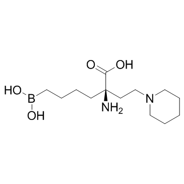 Arginase inhibitor 1ͼƬ