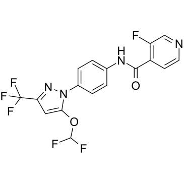 NFAT transcription factor regulator 1ͼƬ