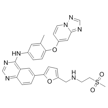 ARRY-380 analogͼƬ