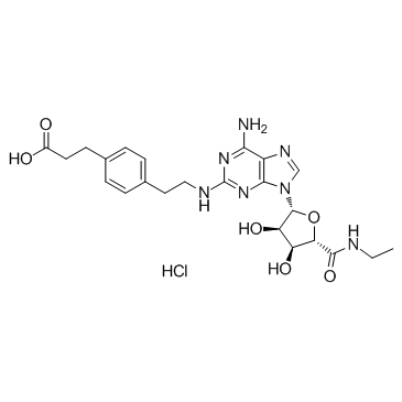 CGS 21680 HydrochlorideͼƬ