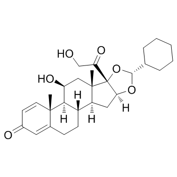 Desisobutyryl-ciclesonide(CIC-APCiclesonide active principle)ͼƬ