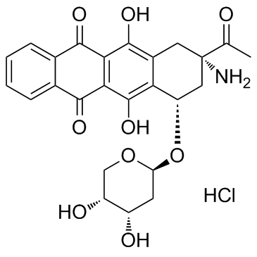 Amrubicin hydrochloride(AMR hydrochloride)ͼƬ