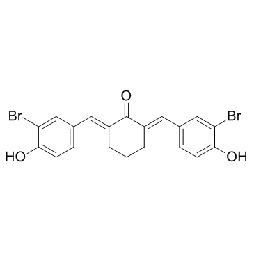 Histone Acetyltransferase Inhibitor IIͼƬ