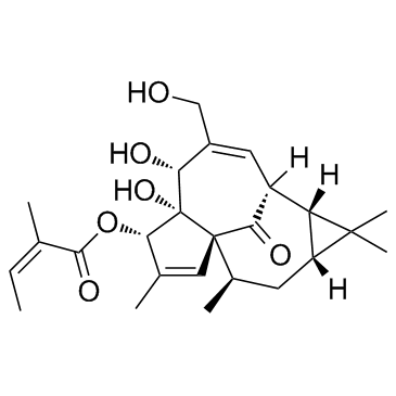 Ingenol Mebutate(Ingenol 3-angelate PEP005)ͼƬ