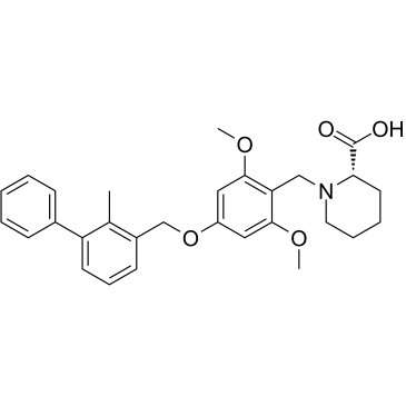 BMS-1(PD-1/PD-L1 inhibitor 1)ͼƬ