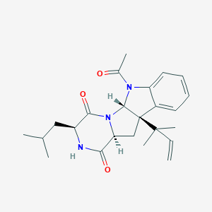 VerrucofortineͼƬ