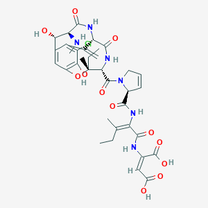 ⾥ùA,ԴPhomopsis leptostromiformisͼƬ