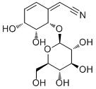 5-EpilithospermosideͼƬ