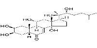 Ajugasterone C图片