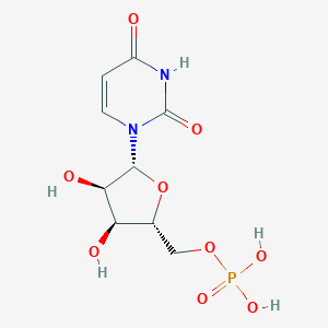 5'-ͼƬ