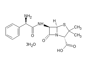 Ampicillin trihydrateͼƬ