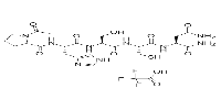 ATN-161 trifluoroacetate saltͼƬ