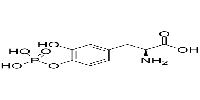 Foslevodopa图片