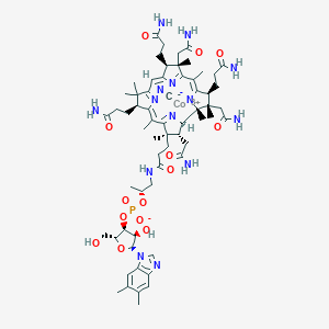 άB12ͼƬ