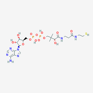 3'-O-dephosphono-coenzyme AͼƬ