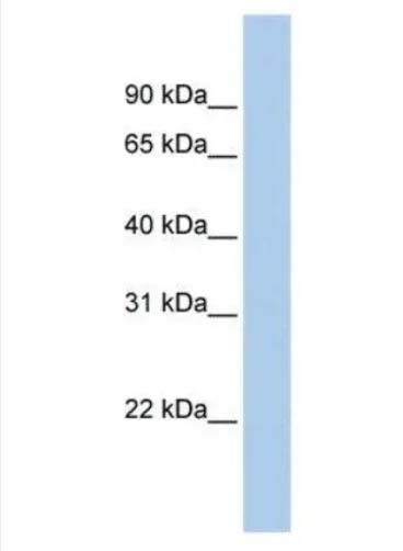 25Ա23ͼƬ