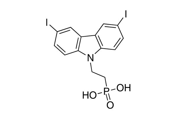 l-2PACzͼƬ