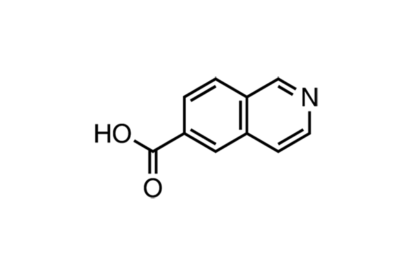 6-Isoquinolinecarboxylic acidͼƬ